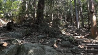 【初心者向け】登山の魅力4選|マインドフルネスと幸せホルモン、癒しの時